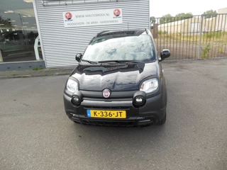 Fiat Panda Staat in Hoogeveen - afbeelding nr 9