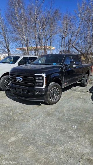 Ford F-350 Ford USA F350 6.7 H.O. Platinum|2x Avalanche en Zwart - afbeelding nr 42
