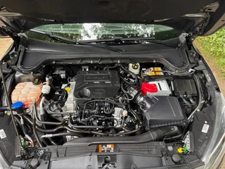 Ford Focus - afbeelding nr 21