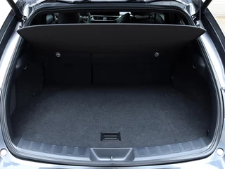 Lexus UX Lexus UX 250h F Sport Line Premium | Premium Navi | Sport-Interieur - afbeelding nr 24