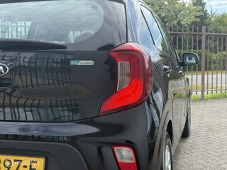 Kia Picanto Kia Picanto 1.0 CVVT PlusLine Navigator | CarPlay | Camera - afbeelding nr 4