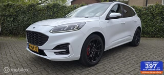 Ford Kuga - 445831203-0