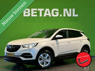Opel Grandland X Opel Grandland X 1.2 Turbo Business Edition | Pano | Parelmoer | - afbeelding nr 1