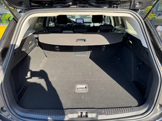 Ford Focus - afbeelding nr 23