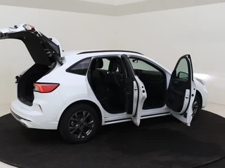 Ford Kuga - afbeelding nr 13