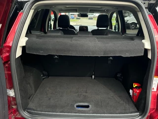 Ford EcoSport - afbeelding nr 28