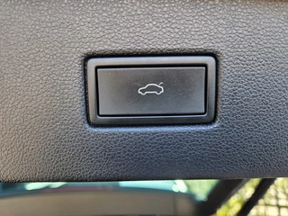 Volkswagen Tiguan - afbeelding nr 15