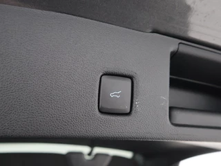 Ford Kuga - afbeelding nr 18