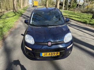 Fiat Panda - afbeelding nr 55