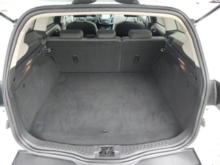 Ford Focus Ford Focus Wagon 1.0 TITANIUM Voorruitverwarming | Keyless | Cruise - afbeelding nr 11