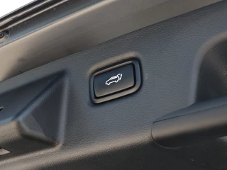 Kia Ceed Sportswagon Kia Ceed Sportswagon 1.6 GDI PHEV DynamicPlusLine I Leder I Elek. stoelverstelling - afbeelding nr 8