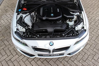 BMW 2 Serie ➡️ BMW 2-serie Cabrio 218i F23 Executive | 2e eigenaar | Origineel | Sportstoelen | Stoelverwarming | DAB | Harman-kardon | Stuurverwarming | PDC | Cruise control | Climate control | - afbeelding nr 9