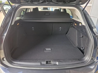 Ford Focus Ford Focus Wagon 1.0 EcoBoost Trend Edition Business | Wegklapbare Trekhaak | Stuur,stoel en voorruitverwarming | Camera achter | Cruisecontrol | Navigatie | - afbeelding nr 5
