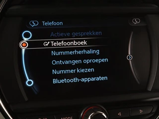 MINI Countryman Mini Mini Countryman 2.0 Cooper S E ALL4 Pepper | Climate control |  Navigatie | PHEV | Park assist | Elektrische achterklep | Bleutooth - afbeelding nr 19