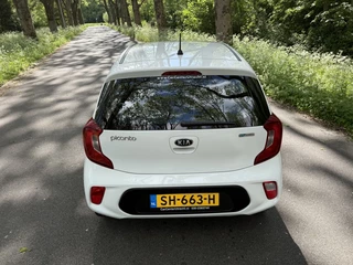 Kia Picanto - afbeelding nr 9
