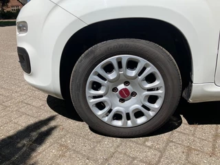 Fiat Panda Fiat Panda 1.2 Easy - afbeelding nr 4