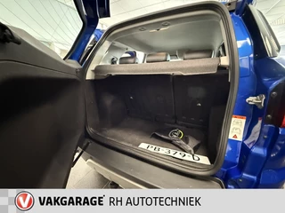 Ford EcoSport - afbeelding nr 17