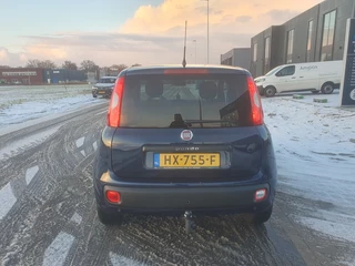 Fiat Panda - afbeelding nr 8