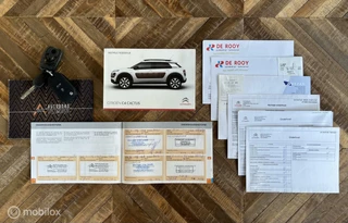 Citroën C4 Cactus Citroen C4 Cactus 1.6 BlueHDi Business [ NAP cruise camera ] - afbeelding nr 13
