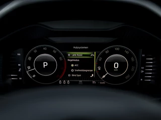 Škoda Karoq | Leer | Navi  & App-Connect | 18