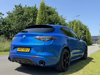 Alfa Romeo Stelvio Alfa Romeo Stelvio 2.0 T Q4 Veloce My24!! Blu Misano! 21inch - afbeelding nr 5