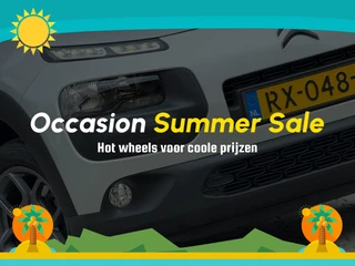 Citroën C4 Cactus 1.2 PureTech Shine - Gris Aluminium - Camera/Clima/Cruise - Nieuwstaat