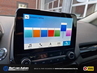 Ford EcoSport Ford EcoSport 1.0 ST-Line 125PK Winterpack B&O Camera Navigatie - afbeelding nr 10
