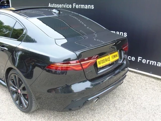Jaguar XE - afbeelding nr 8