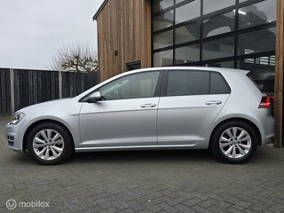 Volkswagen Golf VOLKSWAGEN GOLF 1.0 TSI 116PK CARPLAY CAMERA NAVI CRUISE ECC - afbeelding nr 7