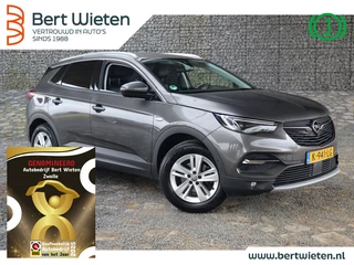 Opel Grandland X Opel Grandland X 1.2 Turbo Bus | Geen import | Navi | Cruise - afbeelding nr 1