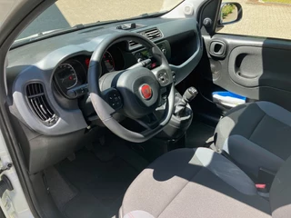 Fiat Panda Fiat Panda 1.2 Easy - afbeelding nr 13