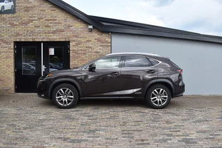 Lexus NX Lexus NX 300H AWD LUXURY LINE, Camera, Cruise - afbeelding nr 5