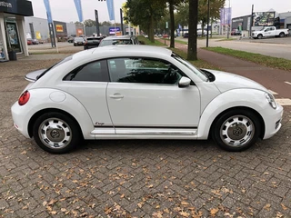 Volkswagen Beetle - afbeelding nr 2