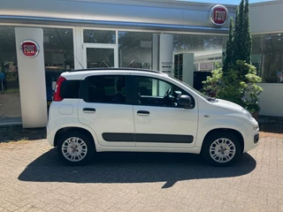 Fiat Panda Fiat Panda 1.2 Easy - afbeelding nr 8