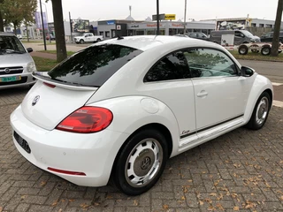 Volkswagen Beetle - afbeelding nr 3