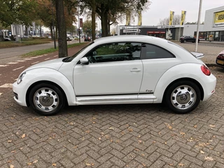 Volkswagen Beetle - afbeelding nr 8