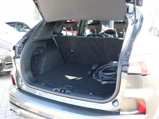 Ford Kuga - afbeelding nr 7