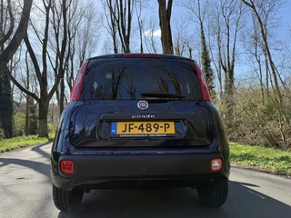 Fiat Panda - afbeelding nr 59