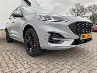 Ford Kuga - afbeelding nr 2