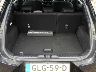 Ford Puma - afbeelding nr 15