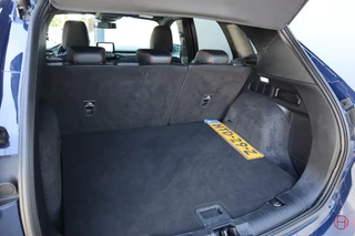 Ford Kuga Ford Kuga 2.5 PHEV ST-Line / Trekhaak / Camera / Stoel+stuur+ruit verwarmd / 1e eigenaar - afbeelding nr 7