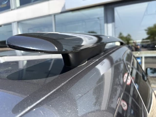 Citroën C4 Cactus Citroën C4 Cactus 1.2 PureTech Shine | Navigatie | Achteruitrijcamera | Dealer ond - afbeelding nr 26