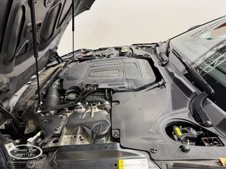Jaguar F-Type - afbeelding nr 49