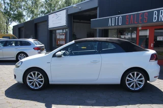 Volkswagen Golf Volkswagen Golf Cabrio 1.2 TSI BlueMotion Lounge - afbeelding nr 3