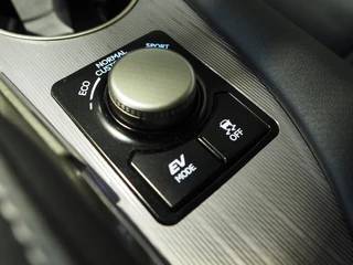 Lexus RX - afbeelding nr 25