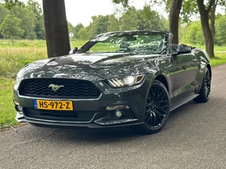 Ford Mustang Convertible 2.3 EcoBoost |Handbak|19'inch|Leer