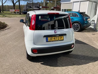 Fiat Panda - afbeelding nr 6