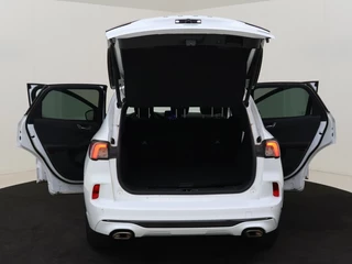 Ford Kuga - afbeelding nr 12
