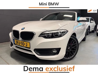 BMW 2 Serie Cabrio 218i Executive AUTOMAAT/CRUISE/PDC/ECC/LED/STOELVERW/CAMERA///