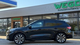 Ford Kuga - afbeelding nr 6